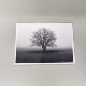 Fotografía artística, Decoración minimalista, Cuadros en blanco y negro, Fotografía de paisaje, Árbol en la niebla, Arte sutil, Impresión Fine Art, Regalo para amantes de la fotografía