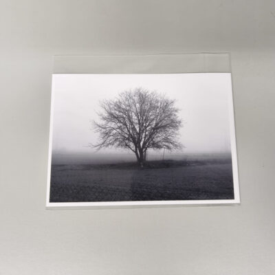 Fotografía artística, Decoración minimalista, Cuadros en blanco y negro, Fotografía de paisaje, Árbol en la niebla, Arte sutil, Impresión Fine Art, Regalo para amantes de la fotografía