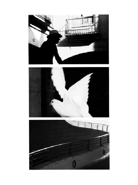 triptico1